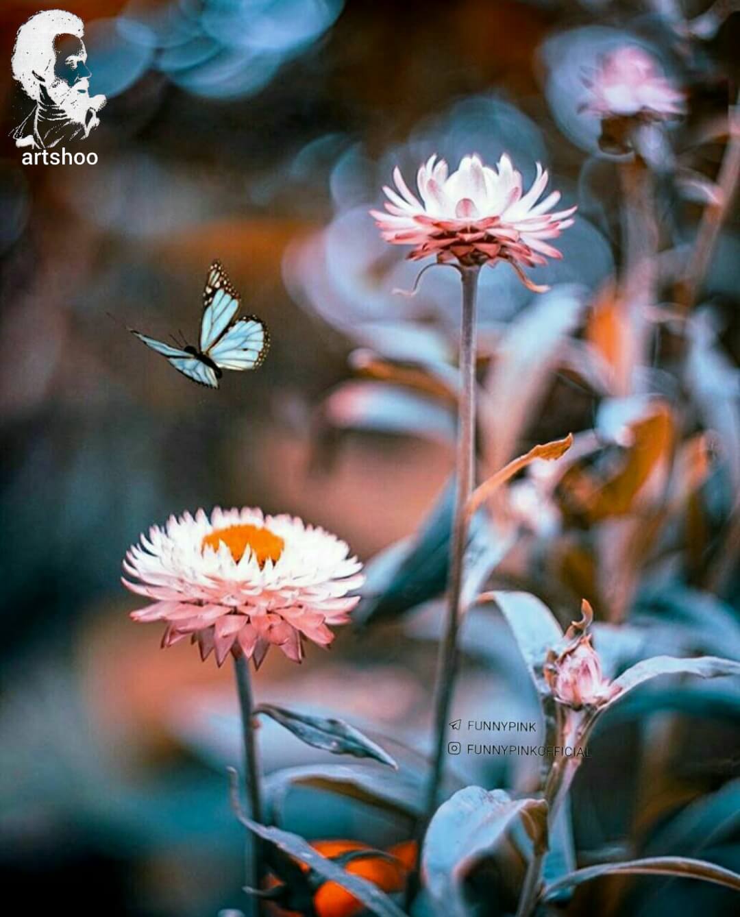 آموزش نقاشی رنگ روغن